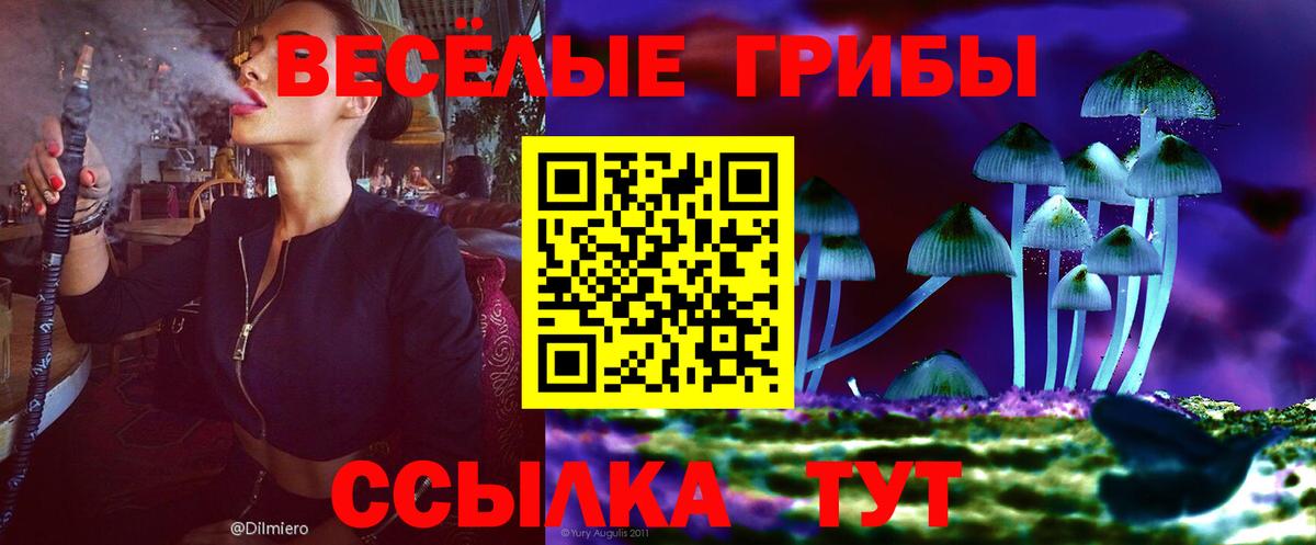 Галлюциногенные грибы ЛСД Зеленодольск