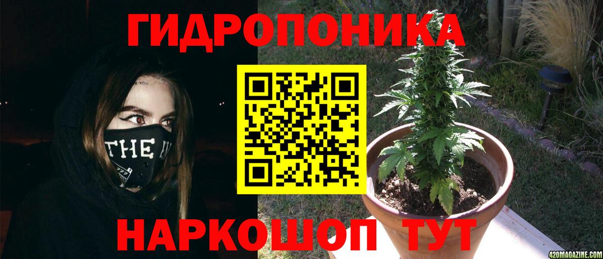 Канабис гибрид Зеленодольск